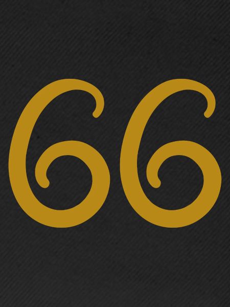 66