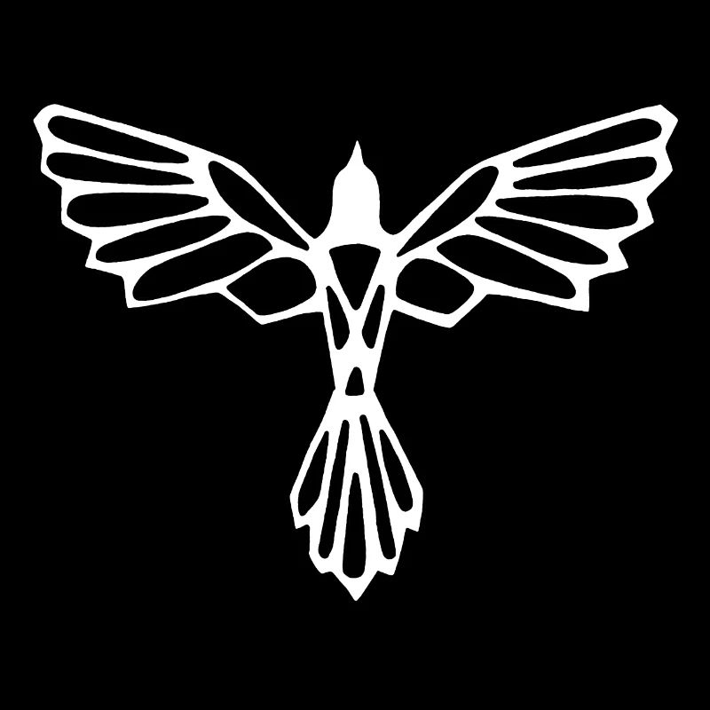 L'envol de l'oiseau blanc