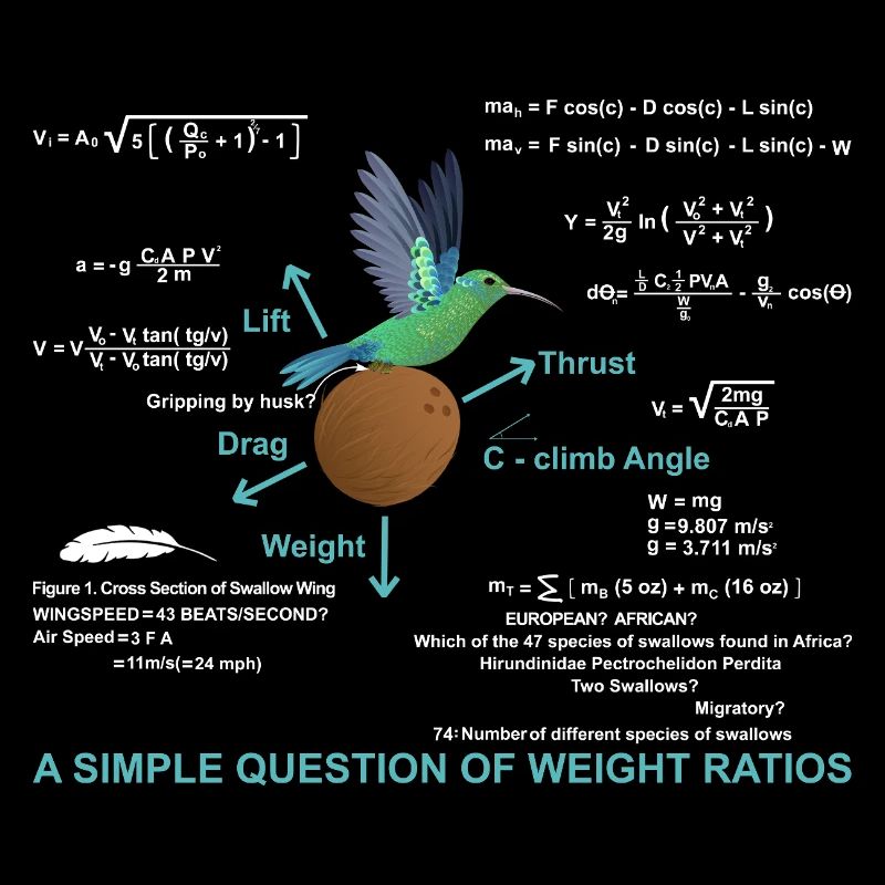 Question simple des rapports de poids