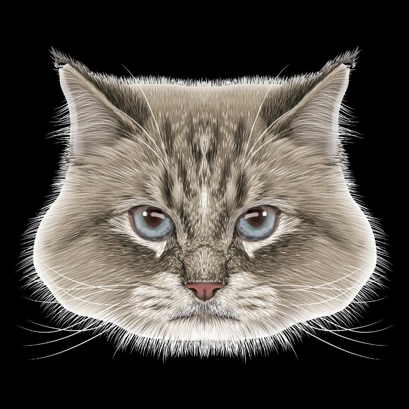 Siberian Cat