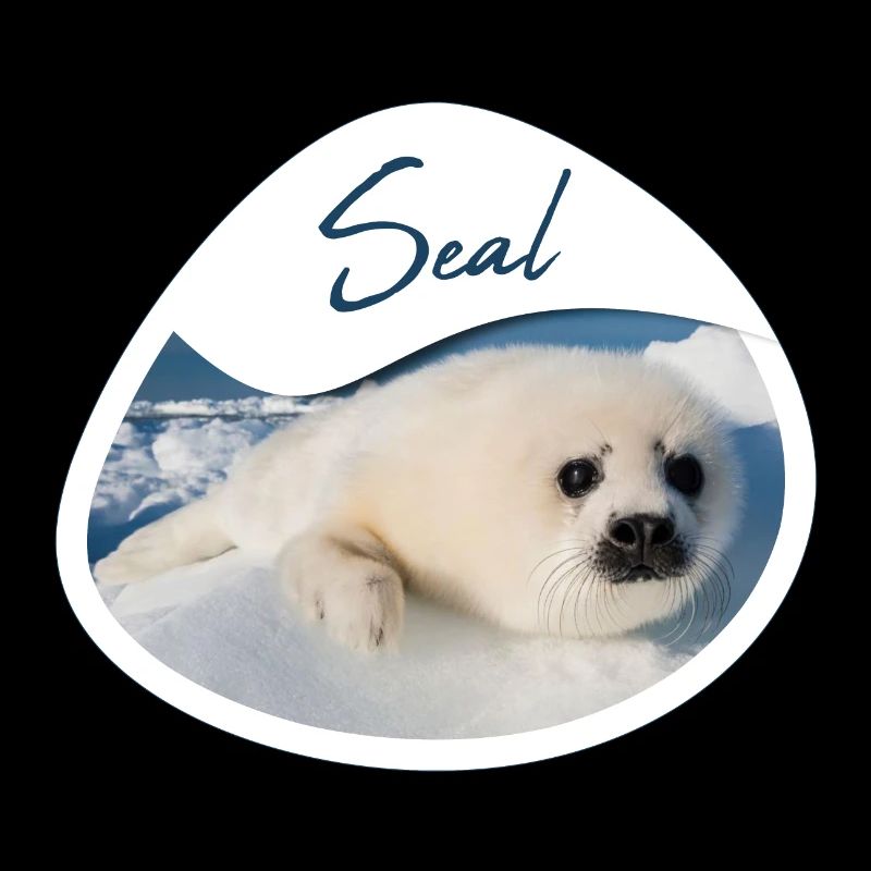 Phoque bébé phoque - Design