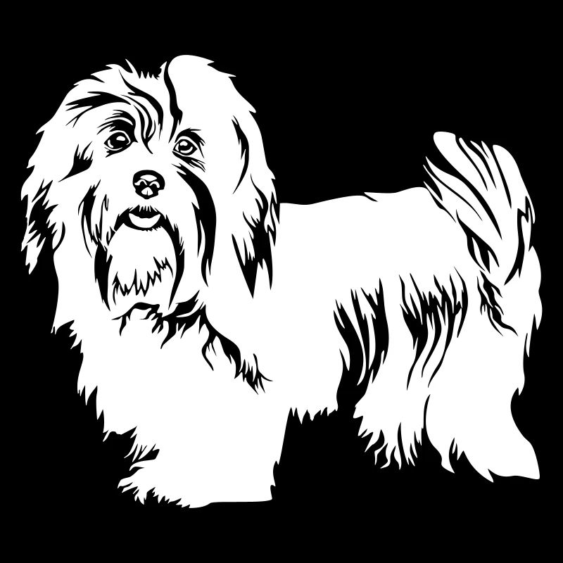 Havanese "Black Edition"