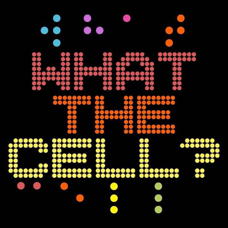 Braille Teacher Braille What The Cell
