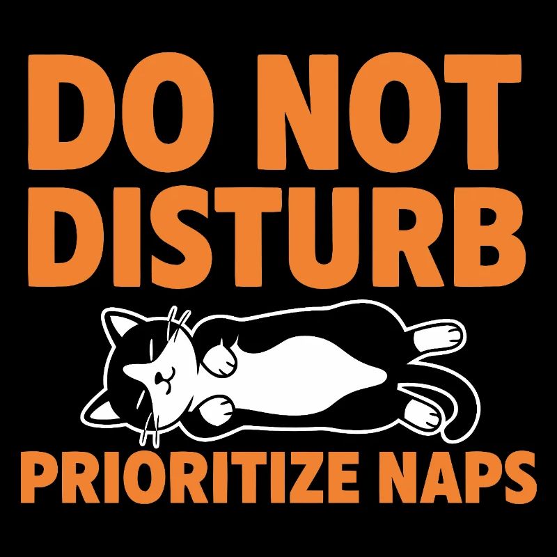 Do Not Disturb Prioritize Naps Cat
