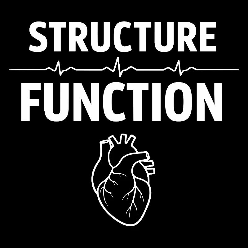 Herzultraschalltechniker Echo-techniker
