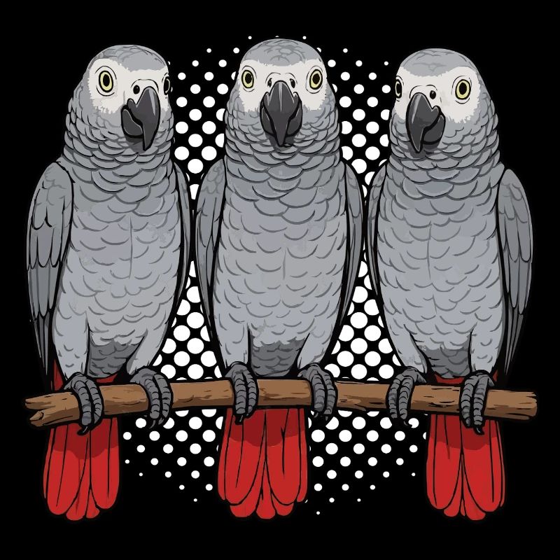 Perroquet gris d'Afrique propriétaire de perroquet gardien de perroquet