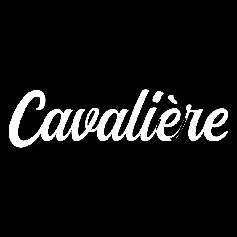 Cavalière Équestre Cheval Équitation Sport Passion