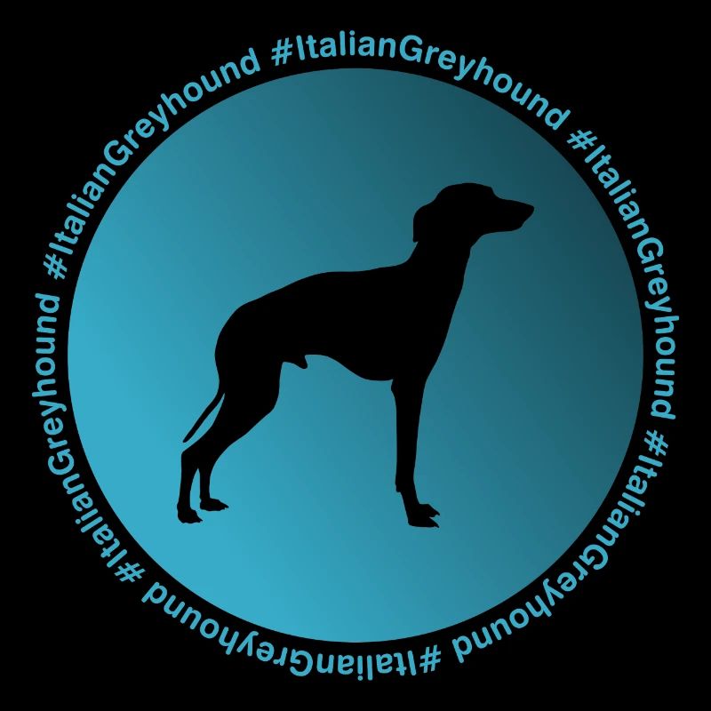 Italian greyhound