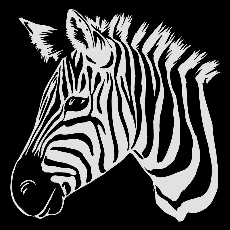 zèbre