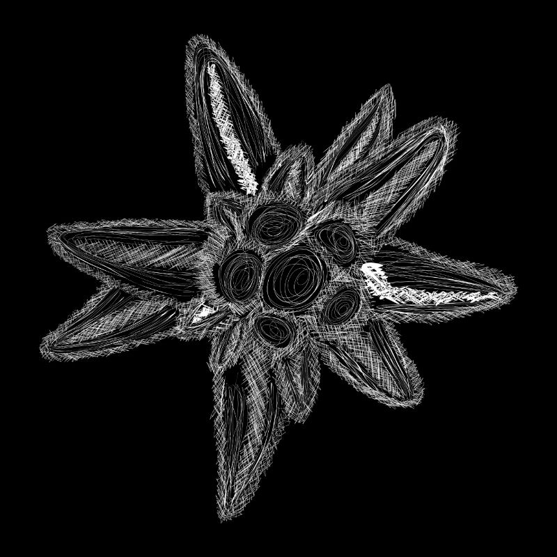 Edelweiss Fineline (White)