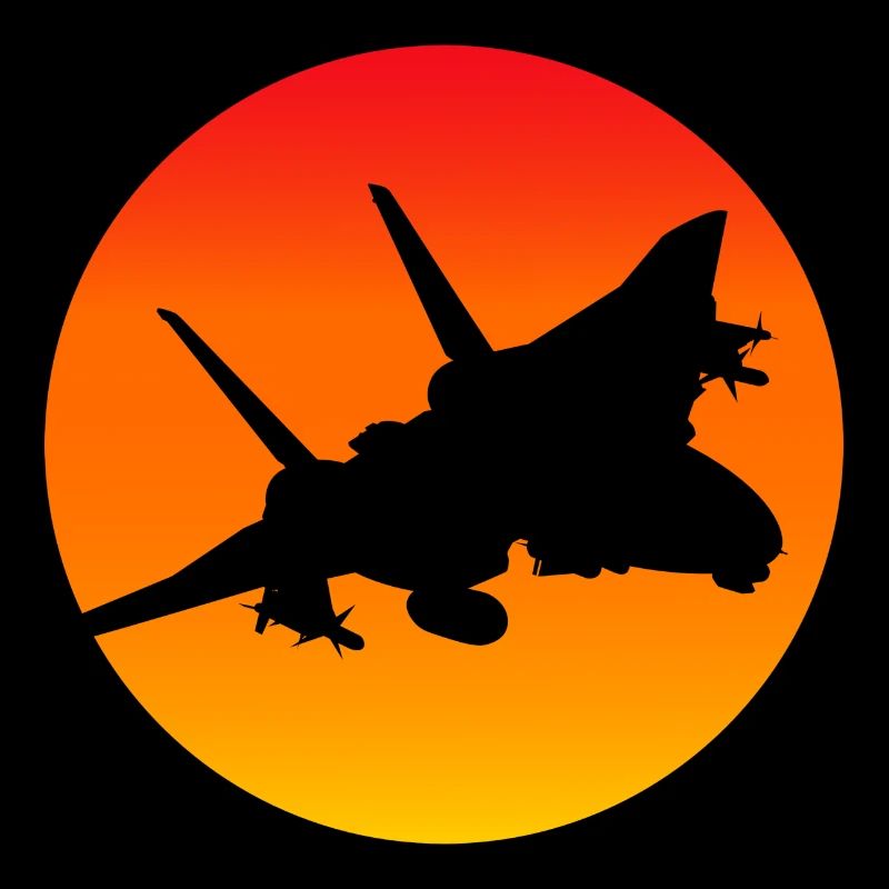 F-14 Tomcat Düsenjäger