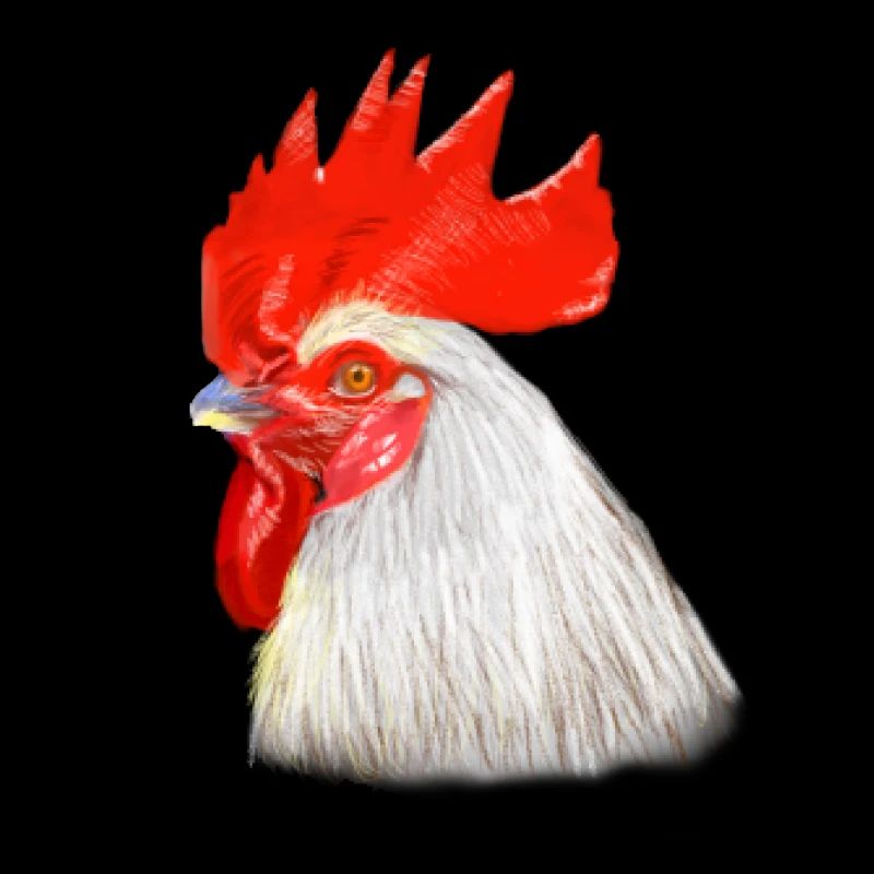 Head Color Game Illustration