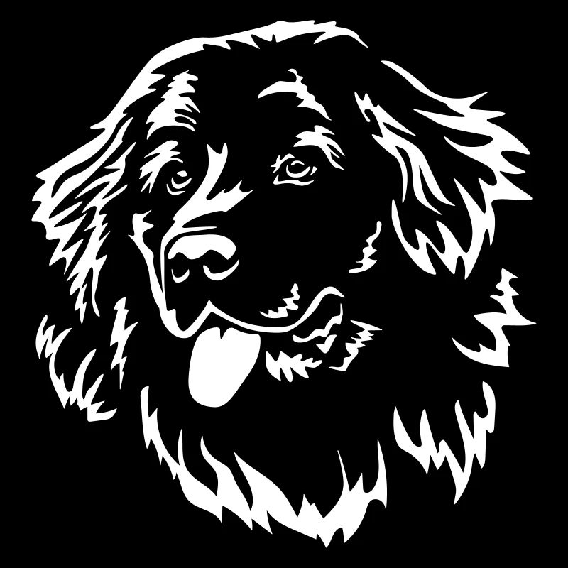 Newfoundland Head "Black Edition"