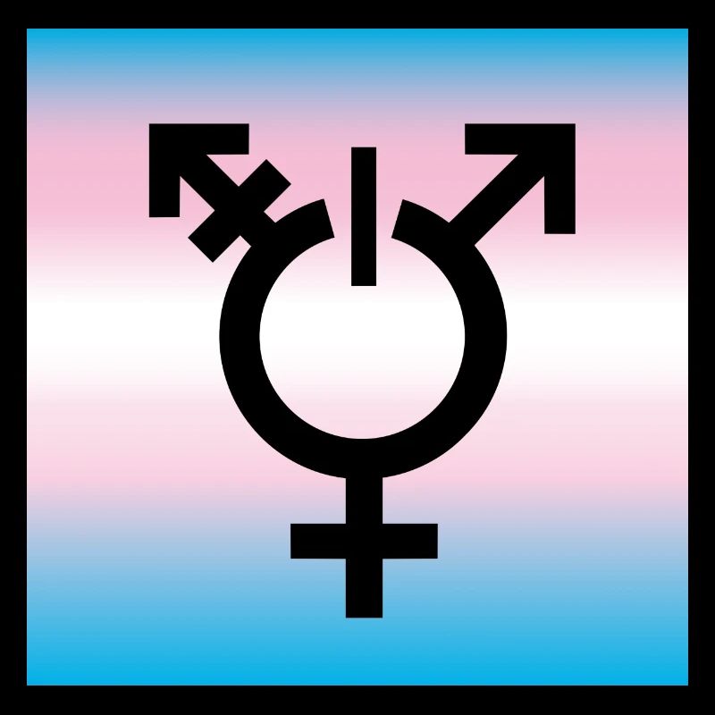 drapeau transgenre LBGTQ queer symbole tolérance CSD