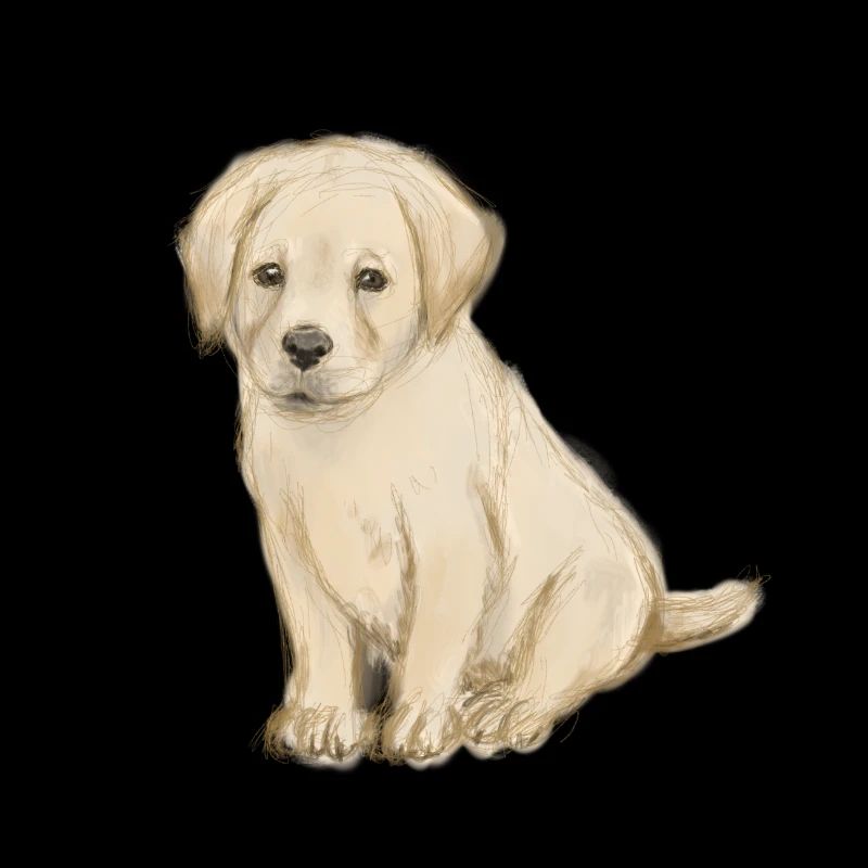 Croquis beige de chiot à l’aquarelle