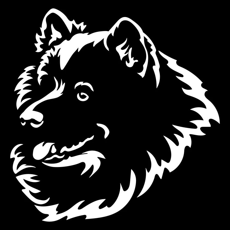 Samojede Kopf "Black Edition"