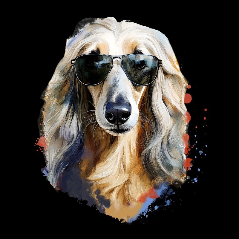 Afghanischer Windhund mit Sonnenbriller