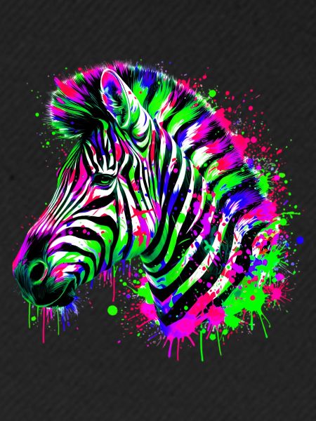 Zebra