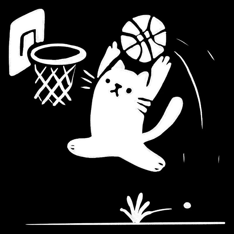 Chat de basket-ball