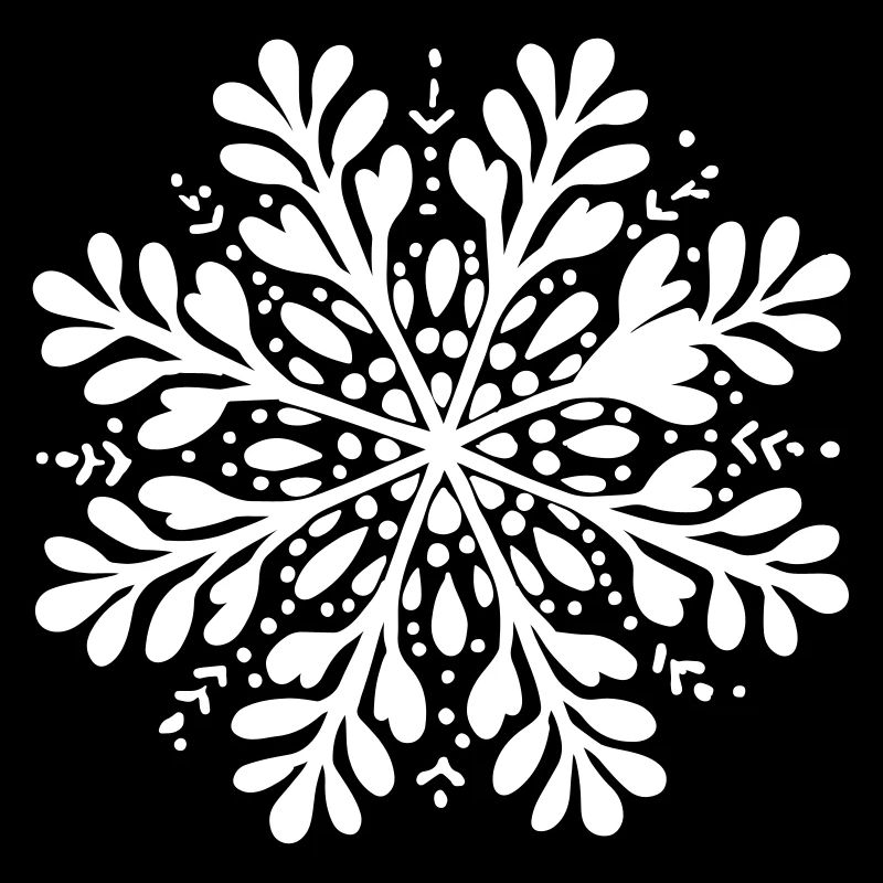 Snowflake Winter Icon