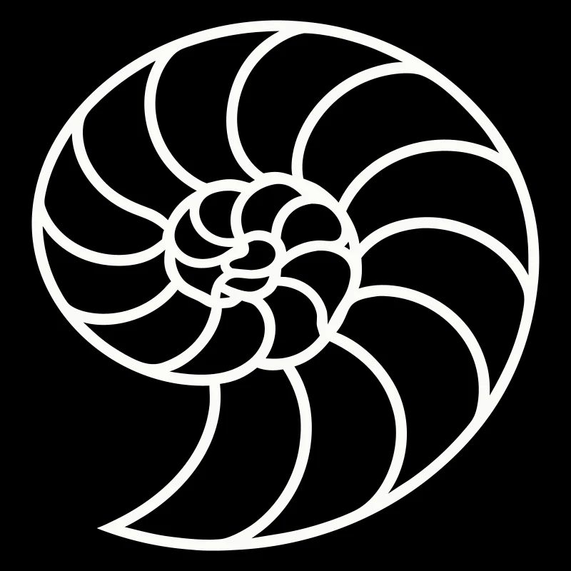 White Nautilus Spiral