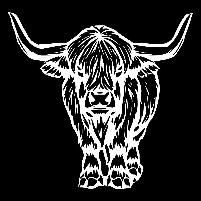 Scottish Highland cattle white