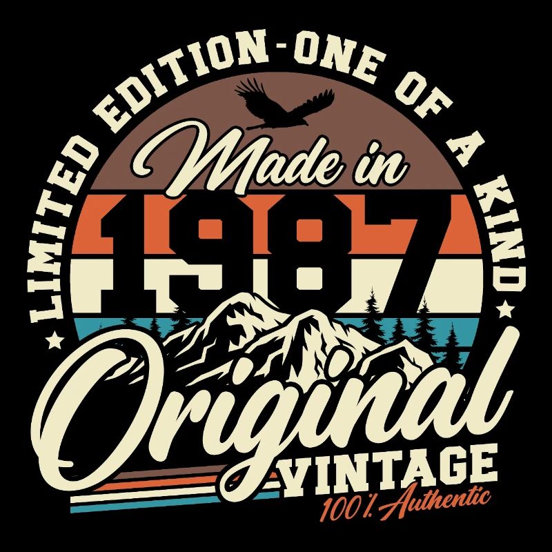 1987 Vintage Birthday Gift Retro