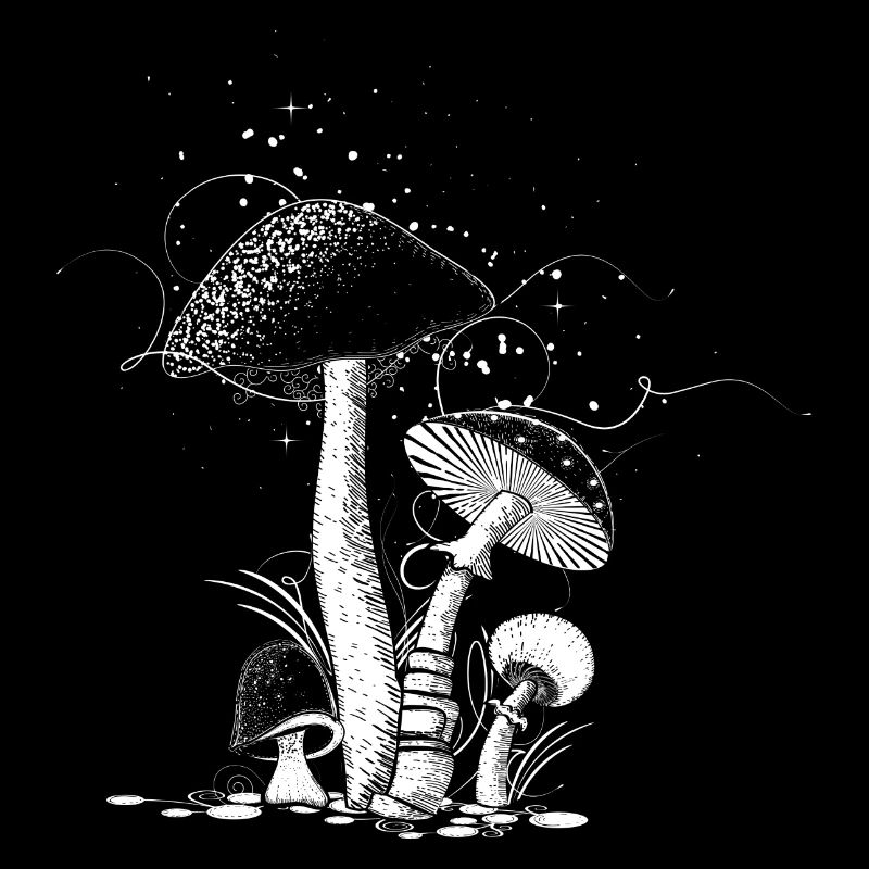 four mushrooms