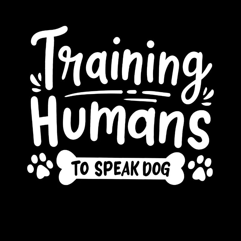 Dog Training Dog Trainer