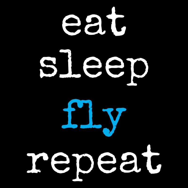 Pilote aux commandes