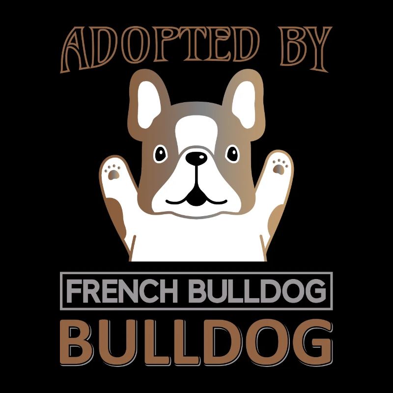 Adopte Français Bulldog