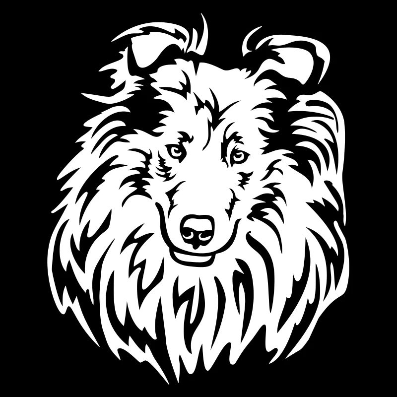 Collie Kopf "Black Edition"