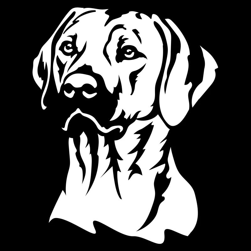 Rhodesian Ridgeback Kopf "Black Edition"