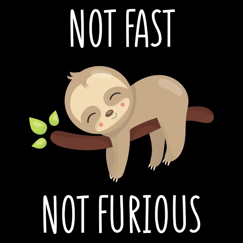 Not Fast, Not Furious