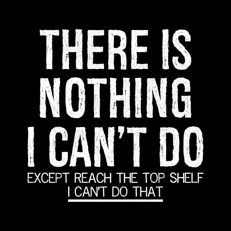 there is nothing I can't do except reach the top