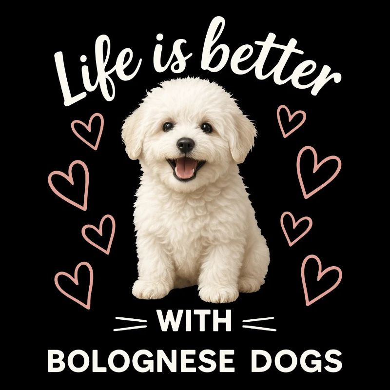 Bolognese Hund