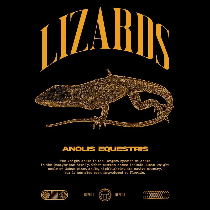 Kubanischer Ritter Anole Reptilienhalter Eidechse