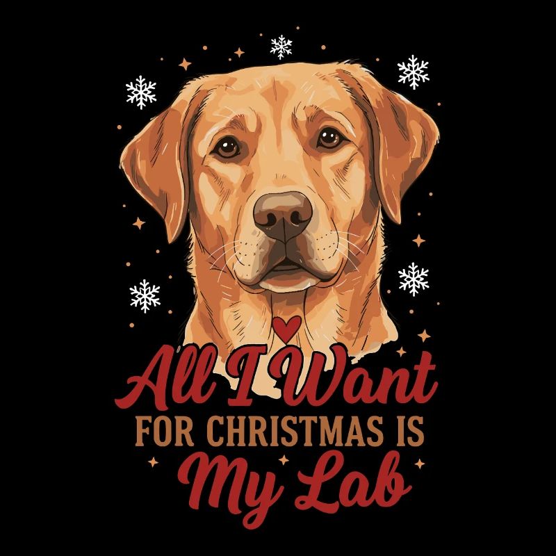 Tout ce que je veux pour Noël, c’est mon labo