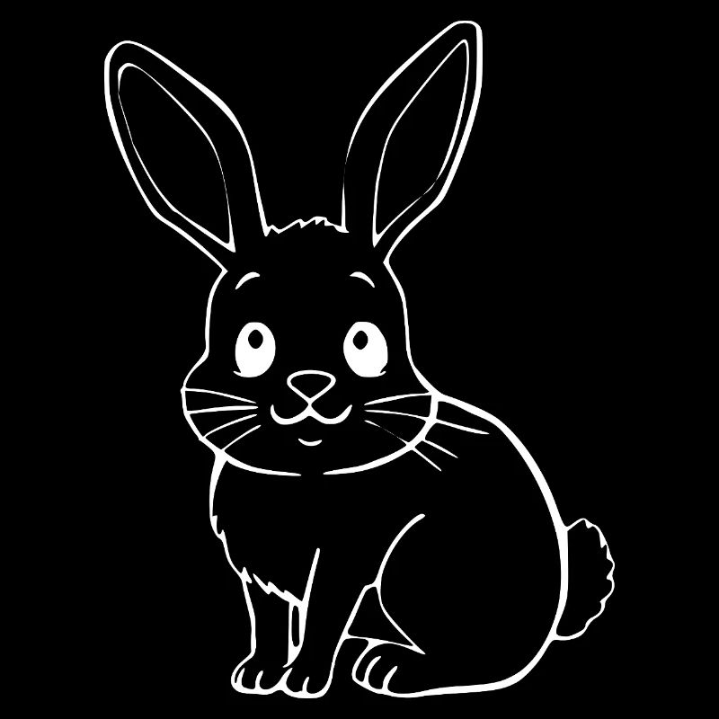 Rabbit Bunny Bunny Dwarf Rabbit Gift