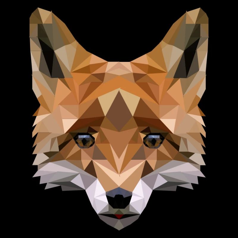Polygon Fuchs