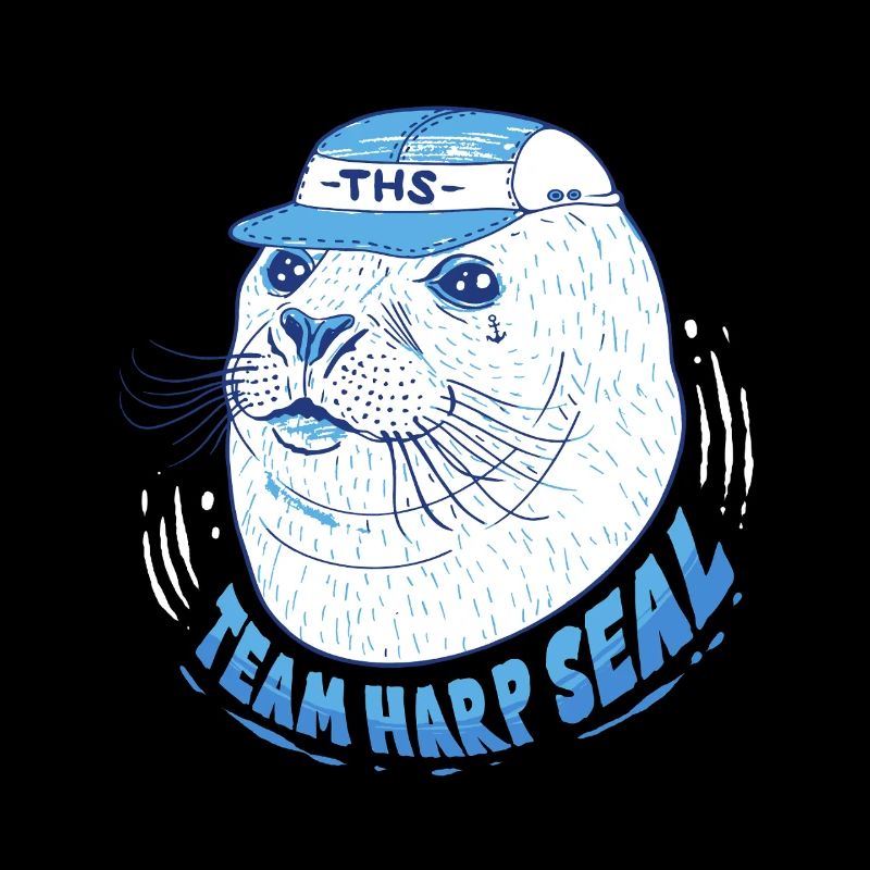 Sattelrobbe Robben Team Harp Seal