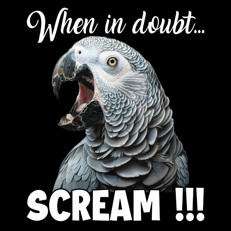Screaming African grey parrot T, funny parrot