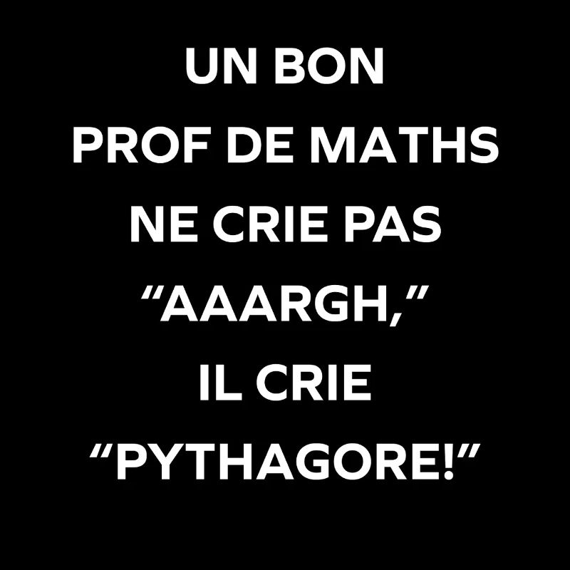 Math teacher shouts Pythagoras