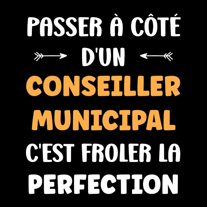 Working with a municipal councillor