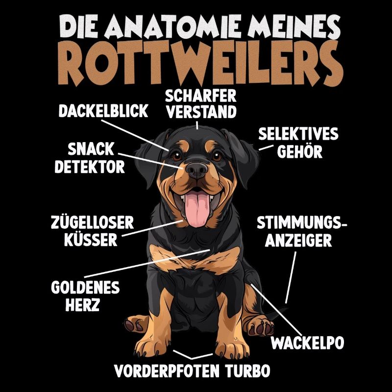 Rottweiler T for training and walking rounds Rotti