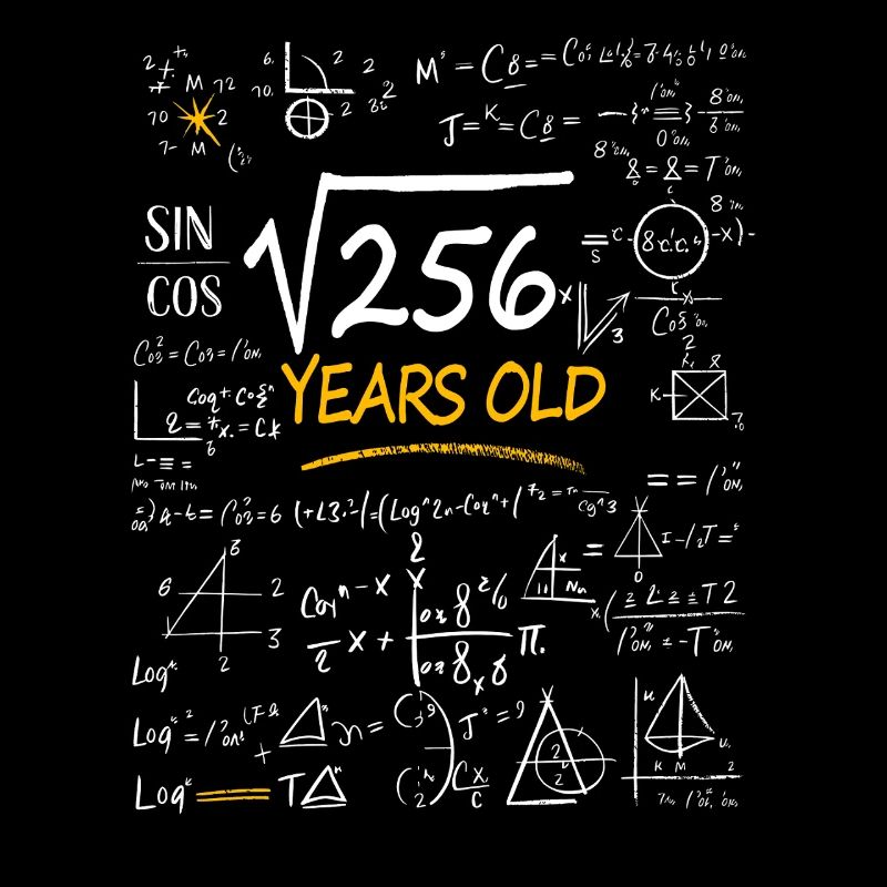 16 Years Birthday Math Formulas Funny