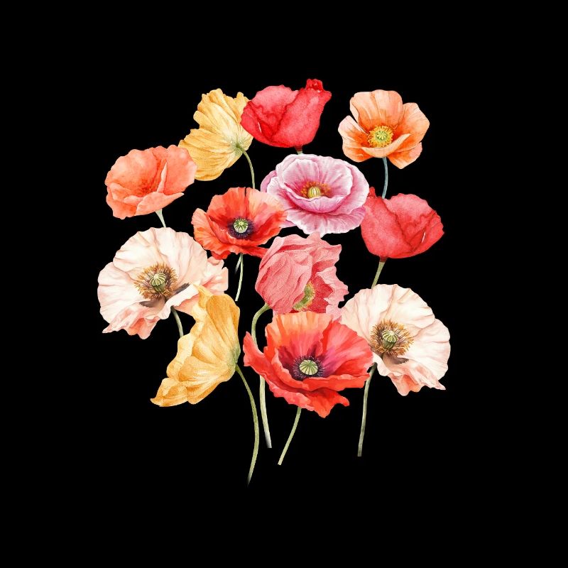 Wilde Mohnblumen / Farbenfroh, wie der Sommer