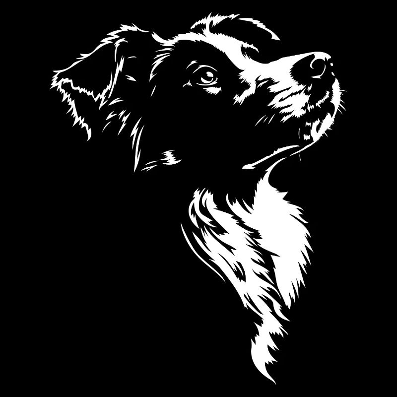 Border Collie Silhouette Hütehunde Hunde Wilsigns