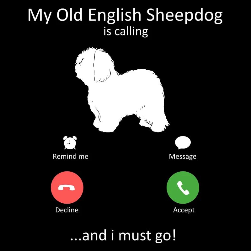 Altenglischer Schäferhund ruft Telefonbildschirm