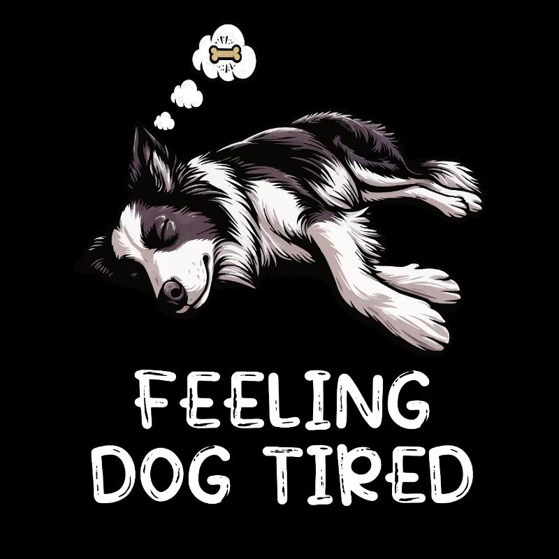 Propriétaire de Border Collie Collie fatigué